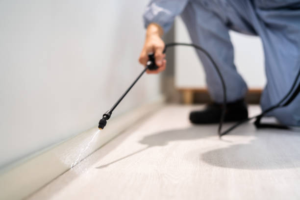Licensed Cockroach Control service in Westwood, CA - Nex Pest Control