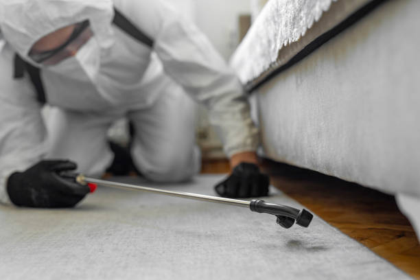Professional Cockroach Control technician working in Westwood, CA