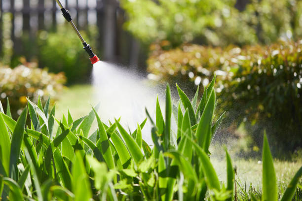 24/7 Emergency Cockroach Control experts in Westwood, CA