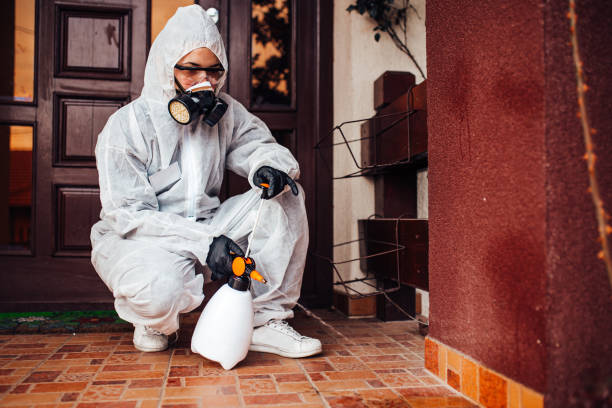 Reliable Cockroach Control contractor in Westwood, CA by Nex Pest Control